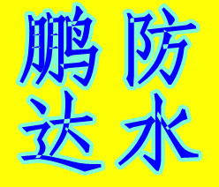 專業水電維修與防水補漏解決方案 東莞萬江防水補漏公司服務全解析